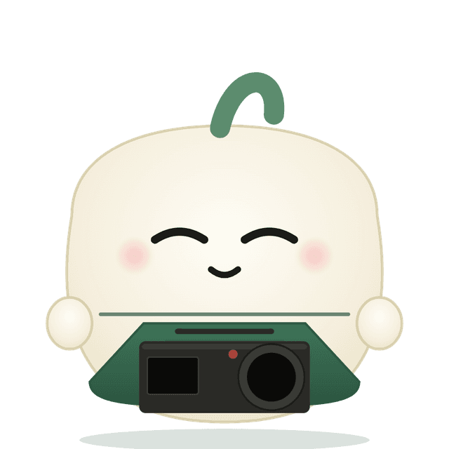 Pilo con cámara de video